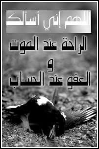 Uaekeys32