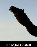 @@  @@