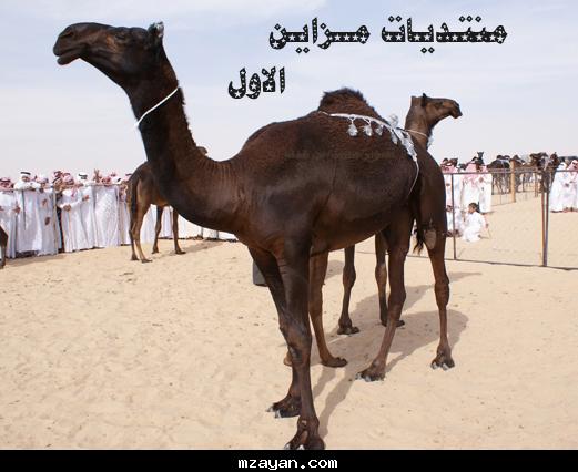 @@.......   1430 @@