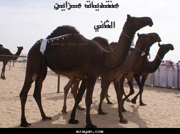 @@.......   1430 @@