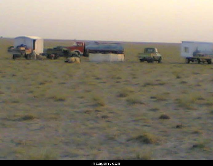   2004