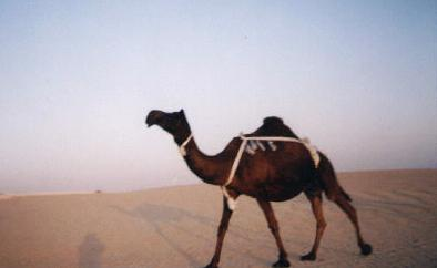  2002