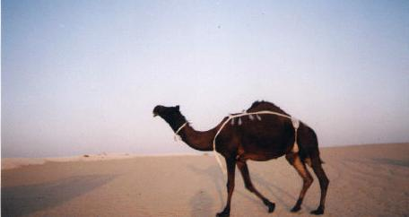  2002