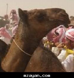   2006  ..@@
