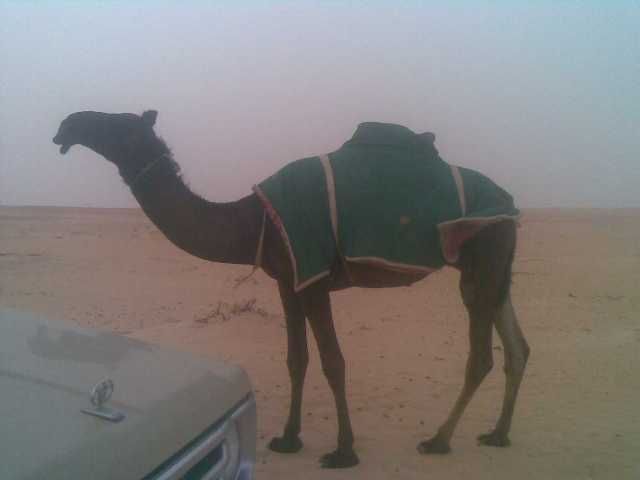 #....#......#  #......#....#